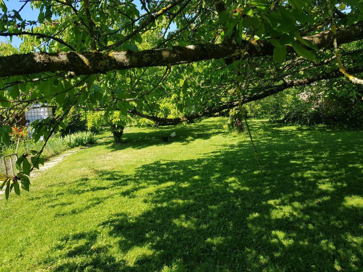 2 Chambres D 'Hotes Chez Un Particulier Avec Piscine Saint-Leu-la-Foret Zewnętrze zdjęcie